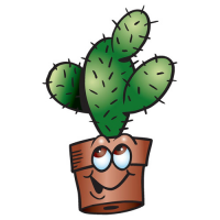 kaktus5.jpg