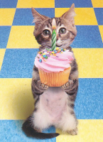 cat_20with_20cake_20copy.jpg