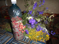 Сувениры-цветы+ягоды.jpg
