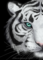 Tiger_digital-art.jpg