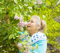 17690934-Portrait-of-old-lady-European-with-lilac-shrub-in-garden--Stock-Photo.jpg
