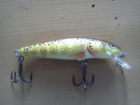 SALMO MINNOW.jpg