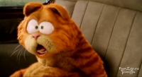 1247077637_21564110_garfield2_fot2.jpg